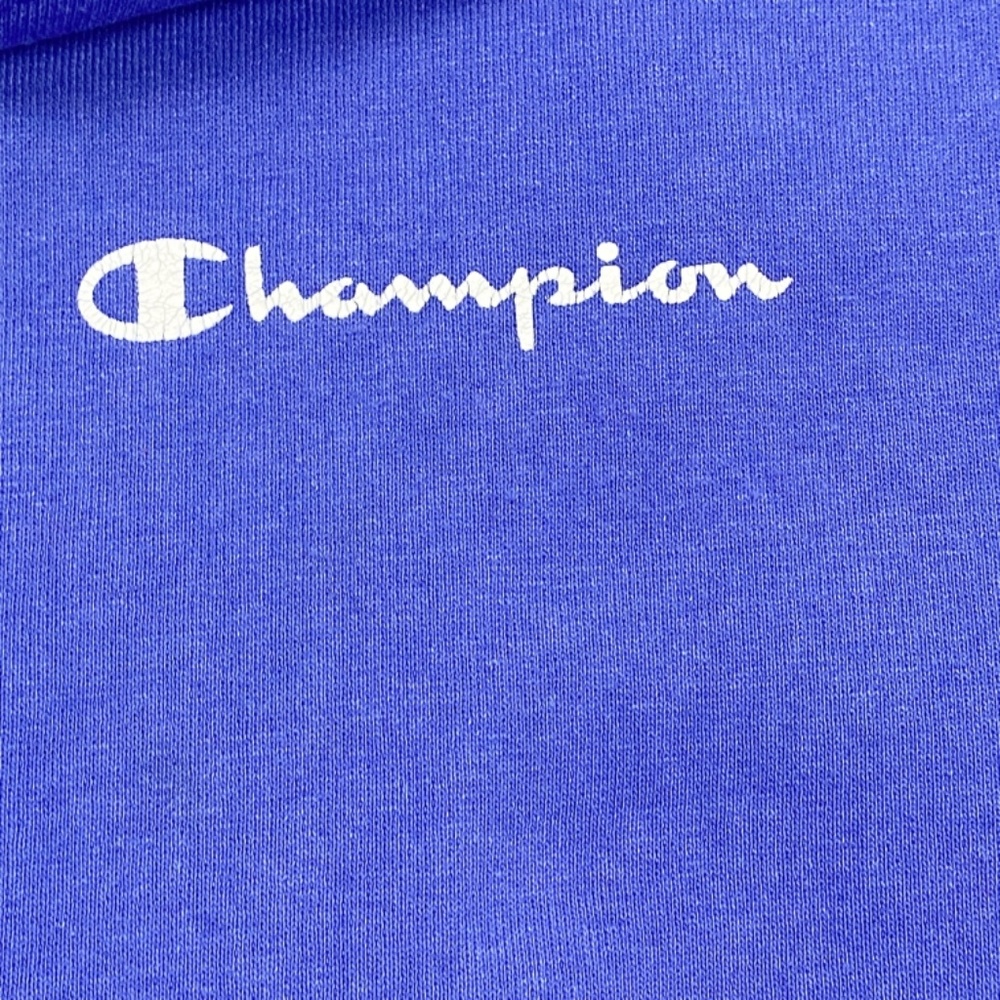 Vintage Champion Logo Spell Out Sweatshirt - Picture 8 of 11